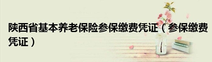 陕西省基本养老保险参保缴费凭证（参保缴费凭证）