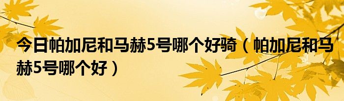 今日帕加尼和马赫5号哪个好骑（帕加尼和马赫5号哪个好）