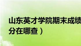 山东英才学院期末成绩查询 山东英才学院学分在哪查）