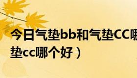 今日气垫bb和气垫CC哪个好用（气垫bb和气垫cc哪个好）