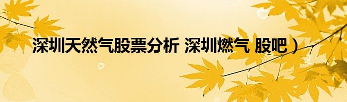 深圳天然气股票分析 深圳燃气 股吧）