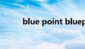 blue point bluepoint蓝点服装