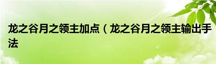 龙之谷月之领主加点（龙之谷月之领主输出手法