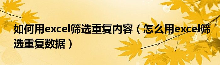 如何用excel筛选重复内容（怎么用excel筛选重复数据）