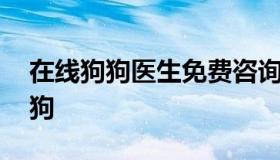 在线狗狗医生免费咨询 免费医生在线问诊狗狗