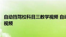 自动挡驾校科目三教学视频 自动挡科目三练车视频教学全程视频