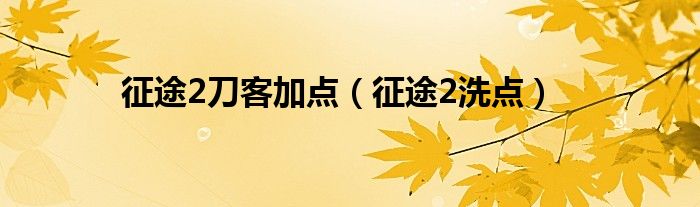 征途2刀客加点（征途2洗点）