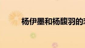 杨伊墨和杨馥羽的恋情（杨伊墨）
