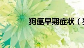 狗瘟早期症状（狗瘟病症状）