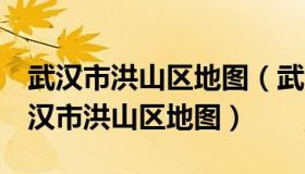 武汉市洪山区地图（武汉市地铁4号线路图武汉市洪山区地图）