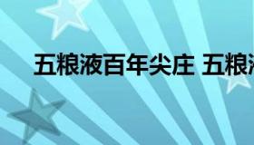 五粮液百年尖庄 五粮液百年尖庄酒系列