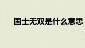 国士无双是什么意思 国士无双 啥意思
