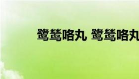 鹭鸶咯丸 鹭鸶咯丸的主治和禁忌