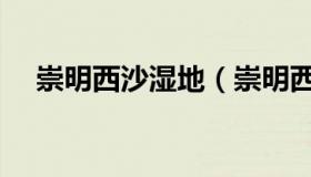 崇明西沙湿地（崇明西沙湿地公园攻略）