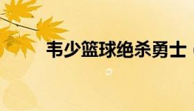韦少篮球绝杀勇士（韦德绝杀篮网