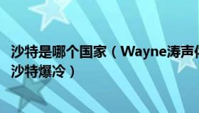 沙特是哪个国家（Wayne涛声依旧：卡塔尔多地灯光秀庆祝沙特爆冷）