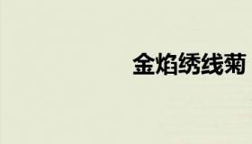 金焰绣线菊（金焰）