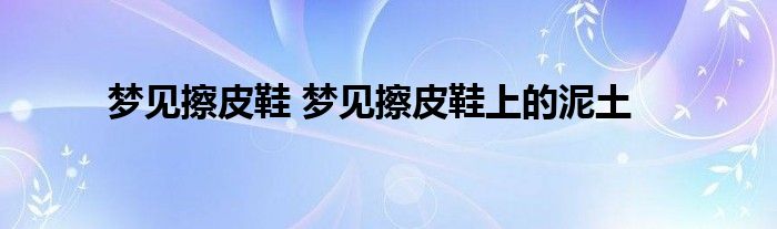 梦见擦皮鞋 梦见擦皮鞋上的泥土