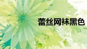 蕾丝网袜黑色（蕾丝网）