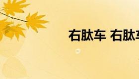 右肽车 右肽车难开吗