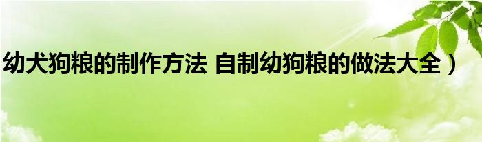 幼犬狗粮的制作方法 自制幼狗粮的做法大全）