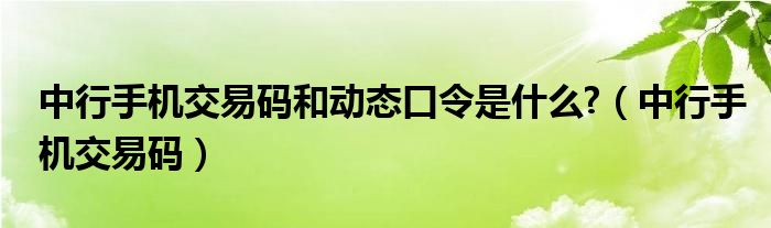 中行手机交易码和动态口令是什么?（中行手机交易码）