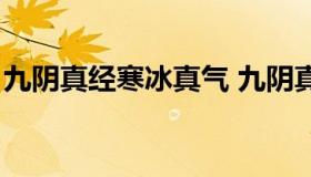 九阴真经寒冰真气 九阴真经寒冰真气阎王贴）