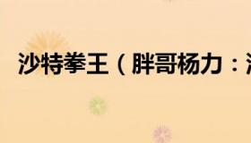 沙特拳王（胖哥杨力：沙特门将身价暴涨）