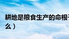 耕地是粮食生产的命根子（男人的命根子是什么）