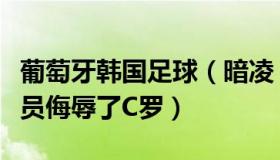 葡萄牙韩国足球（暗凌：葡萄牙主帅：韩国球员侮辱了C罗）