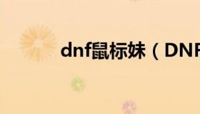 dnf鼠标妹（DNF鼠标妹加点）