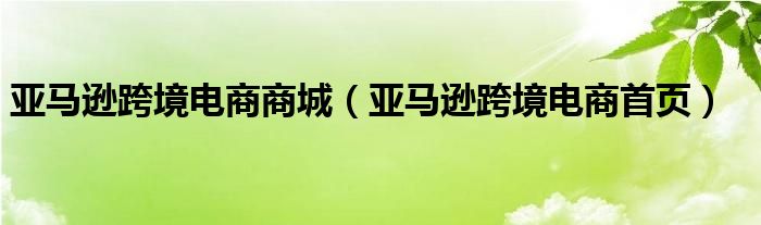 亚马逊跨境电商商城（亚马逊跨境电商首页）