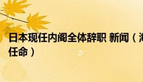 日本现任内阁全体辞职 新闻（海外网：日本新内阁接受正式任命）