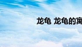 龙龟 龙龟的寓意和象征
