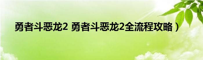 勇者斗恶龙2 勇者斗恶龙2全流程攻略）