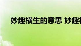 妙趣横生的意思 妙趣横生的意思近义词