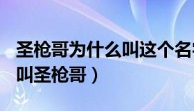 圣枪哥为什么叫这个名字（FLANDRE为什么叫圣枪哥）