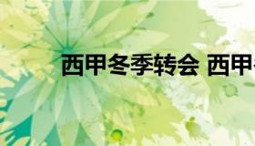 西甲冬季转会 西甲冬季转会汇总）