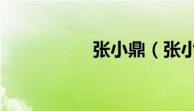 张小鼎（张小鼎碧瑶）