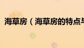 海草房（海草房的特点与环境有怎样的关系