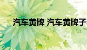 汽车黄牌 汽车黄牌子和蓝牌子的区别）