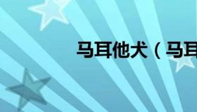 马耳他犬（马耳他犬价格）