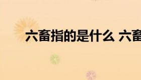 六畜指的是什么 六畜指的是什么生肖
