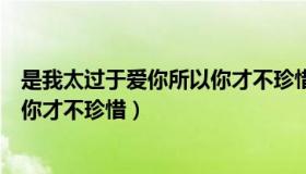是我太过于爱你所以你才不珍惜歌词（是我太过于爱你所以你才不珍惜）