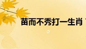 苗而不秀打一生肖 苗而不秀成语）