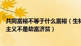 共同富裕不等于什么富裕（生林聊台海：共同富裕不是平均主义不是劫富济贫）