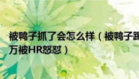 被鸭子抓了会怎么样（被鸭子踢着了：女生期待薪资7千到1万被HR怒怼）