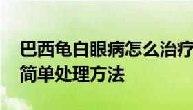 巴西龟白眼病怎么治疗最有效 巴西龟白眼病简单处理方法