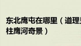 东北鹰屯在哪里（道理见过：东北出现罕见鹰柱鹰河奇景）