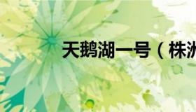 天鹅湖一号（株洲天鹅湖1号）